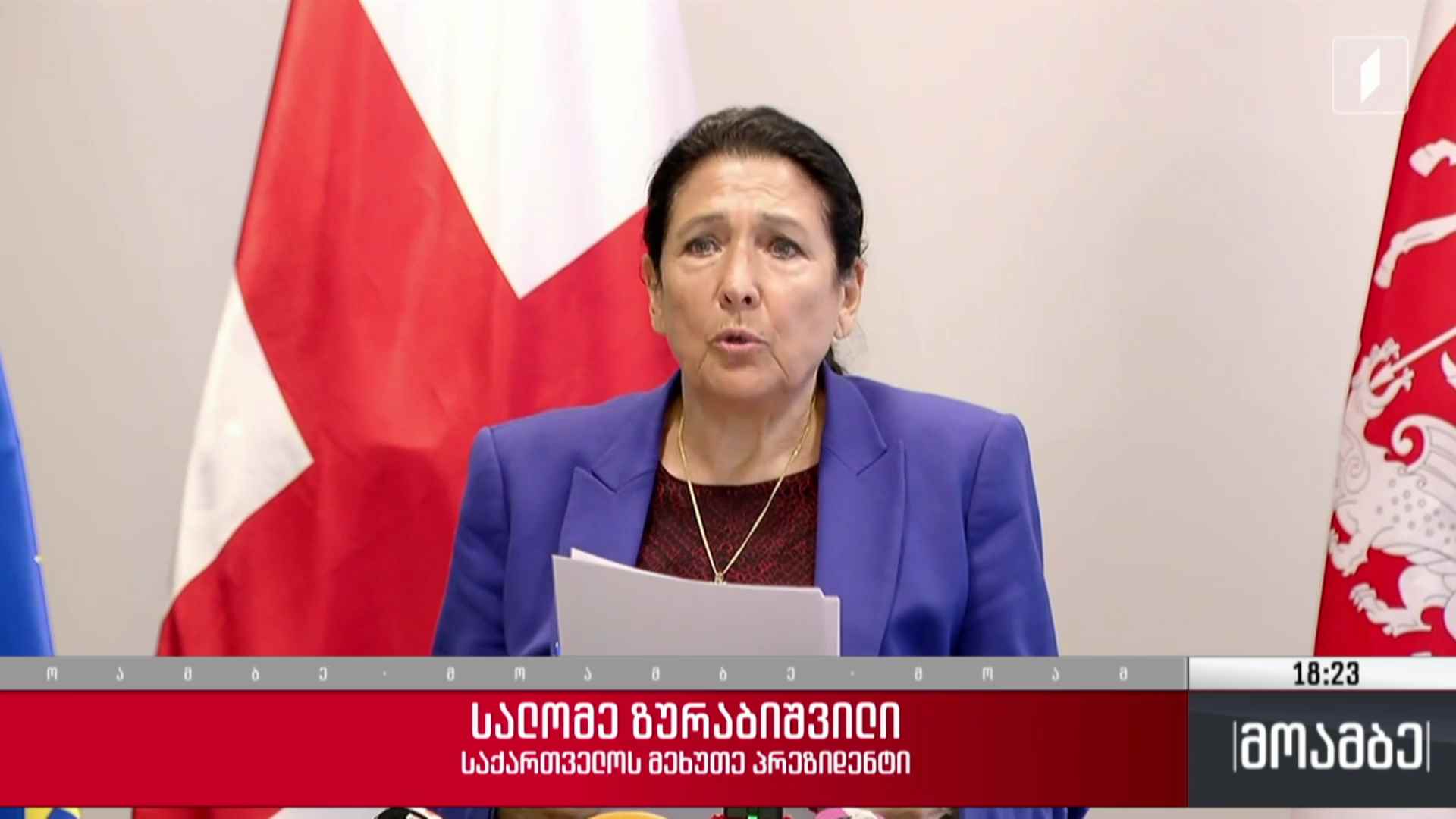 სალომე ზურაბიშვილის და ოპოზიციის გეგმები - გამოხმაურება