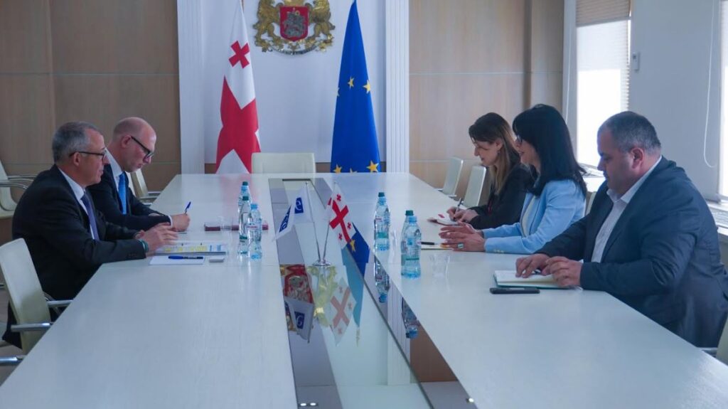 თეა ახვლედიანმა სამხრეთ კავკასიაში ეუთო-ს სპეციალურ წარმომადგენელთან, კრისტოფ შპეტისთან შეხვედრა გამართა
