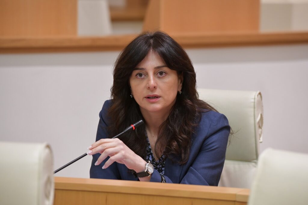 მაია ბითაძე - ოპოზიციისთვის კრახით დასრულდება ის დივერსიული საქმიანობა, რასაც ეწევიან, ვიზალიბერალიზაცია გამოყენებული არ უნდა იყოს სადამსჯელო ღონისძიებად