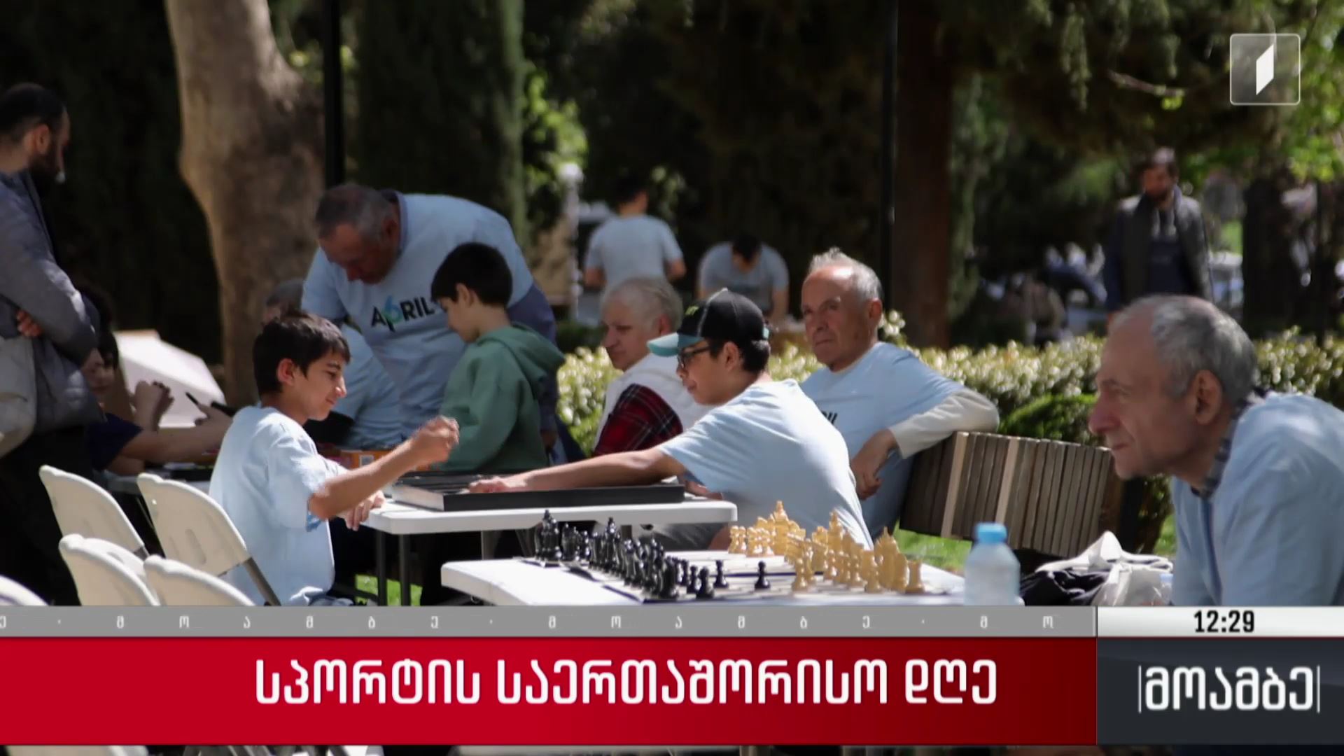 სპორტის საერთაშორისო დღე