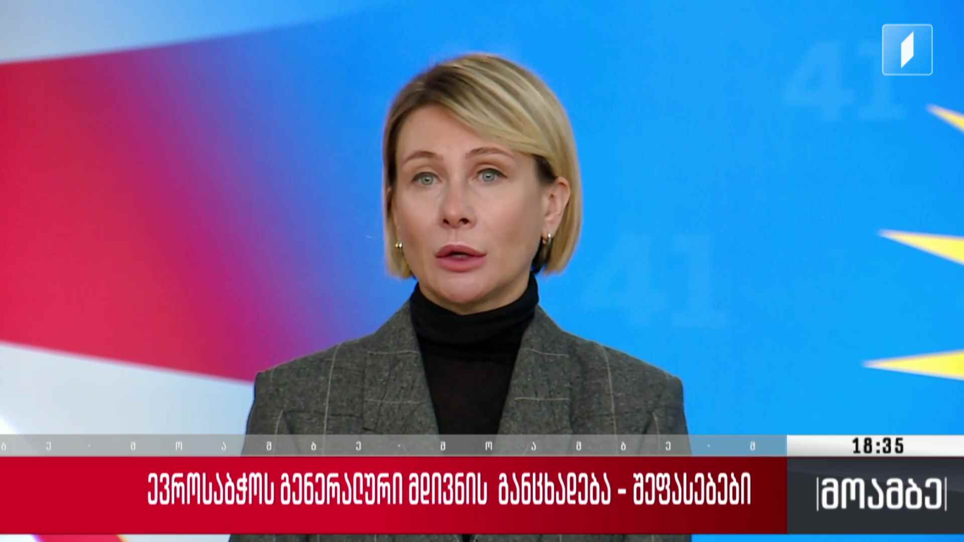 ევროსაბჭოს გენერალური მდივნის განცხადება - შეფასებები