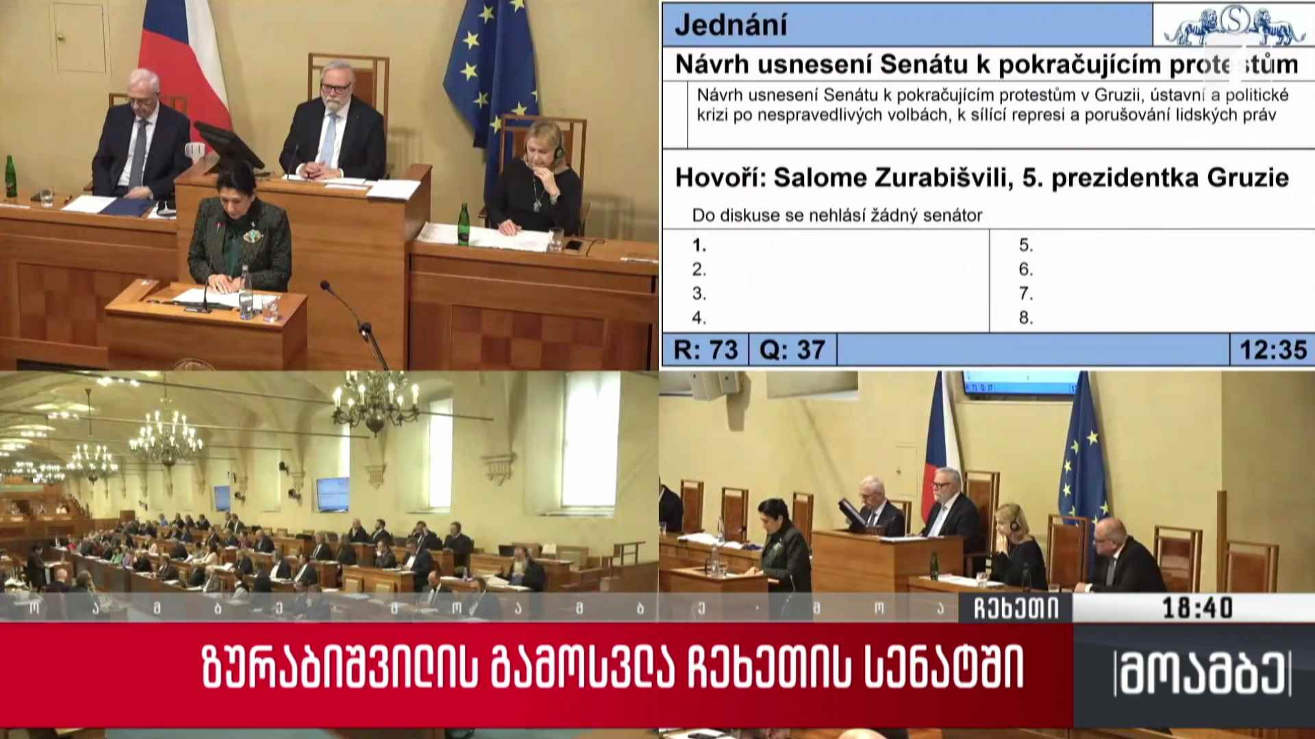 ზურაბიშვილის გამოსვლა ჩეხეთის სენატში