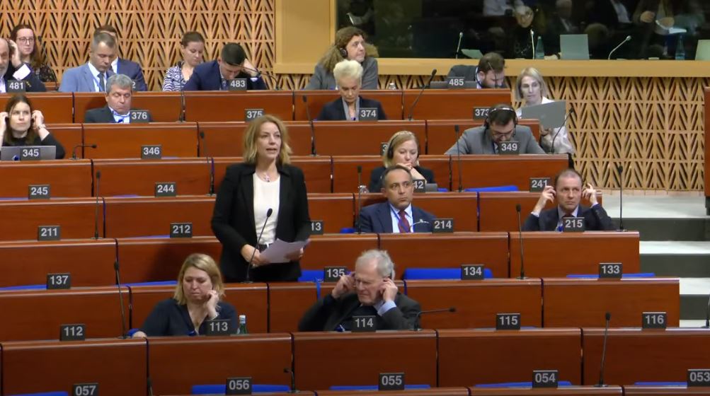 ელიზაბეტა გარდინი - საქართველოს დელეგაციისთვის უფლებამოსილების შეჩერება ევროსაბჭოს საპარლამენტო ასამბლეაში იქნება სერიოზული შეცდომა, რაც ქმნის ასამბლეის პრინციპებთან მეტად დაშორების რისკებს