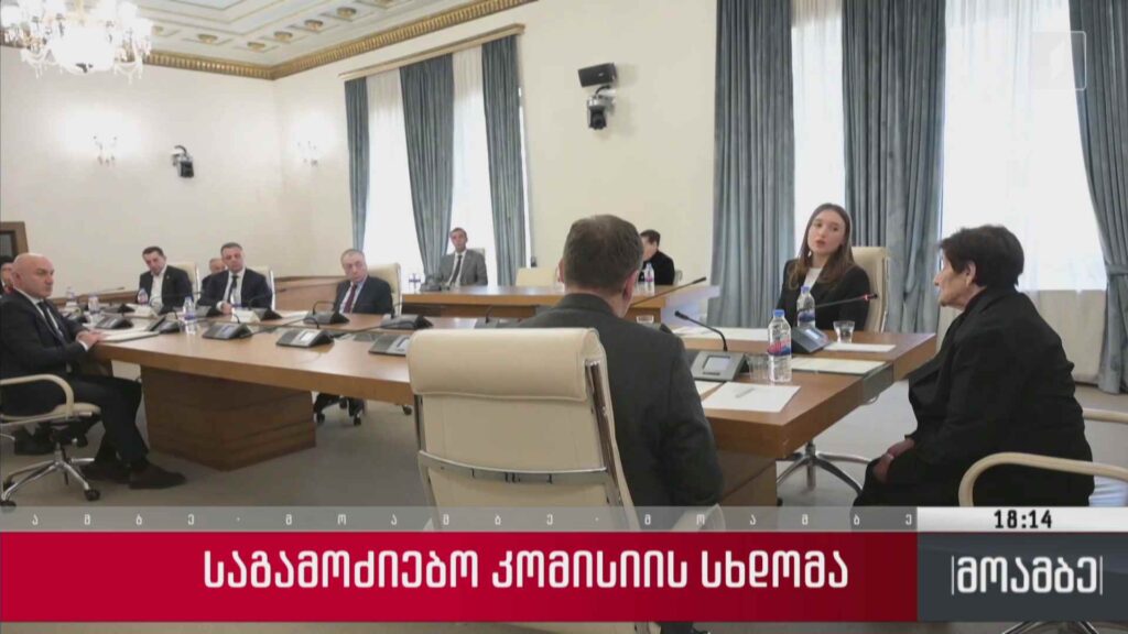 საგამოიძებო კომისიის სხდომა