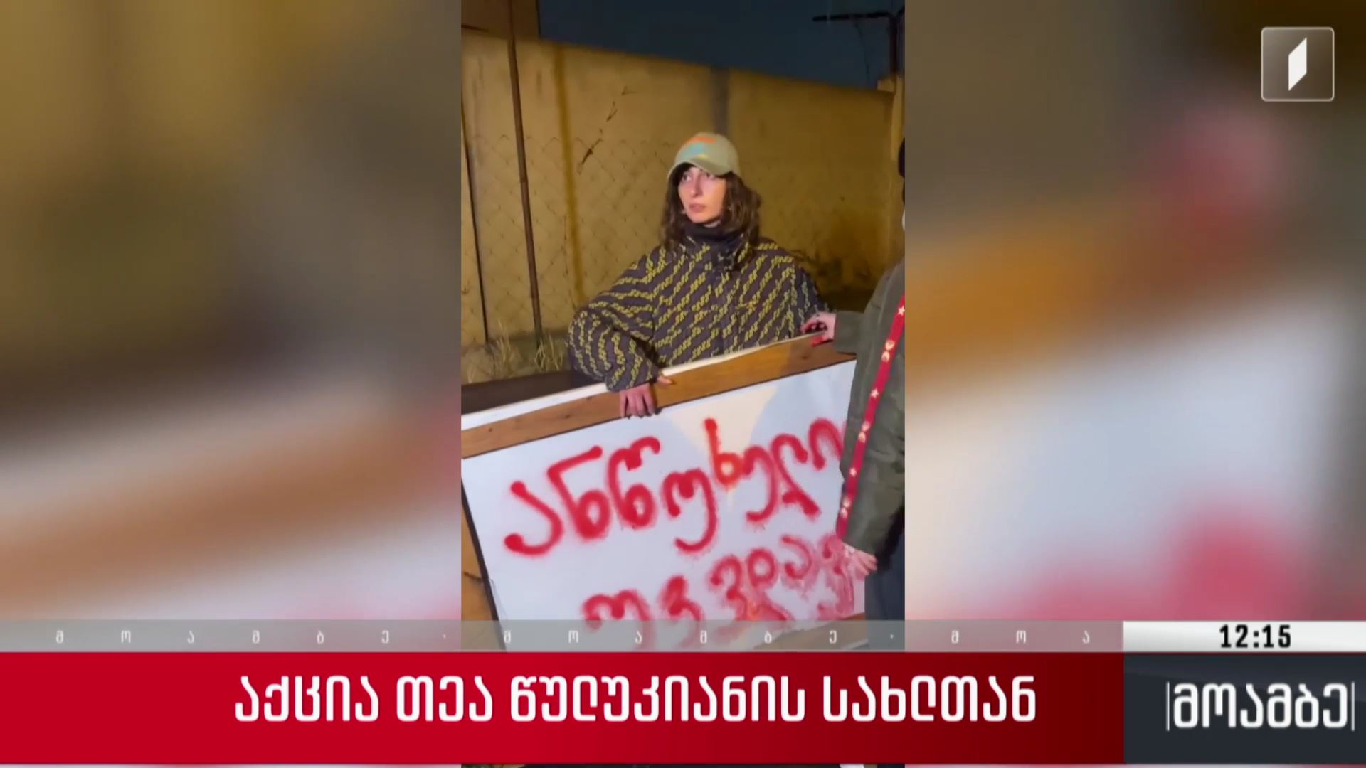  აქცია თეა წულუკიანის სახლთან