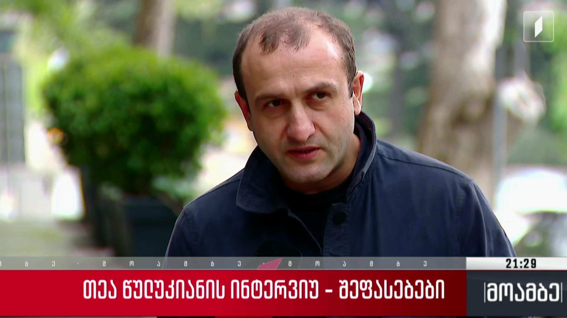  თეა წულუკიანის ინტერვიუ - გამოხმაურება პოლიტიკურ სპექტრში