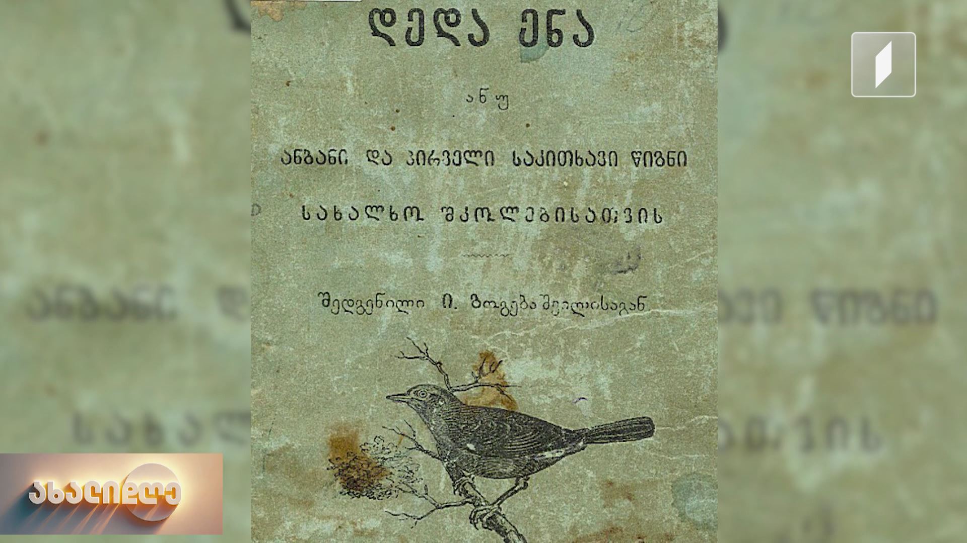 დედაენა