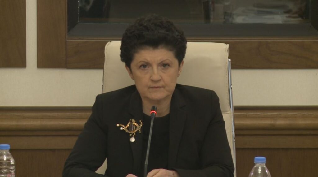 თეა წულუკიანმა გიორგი გახარიას მიმართა - თქვენ თუ აქ ხართ არაღიარებული ორგანოს წინაშე, მაშინ პოლიტიკურად სერიოზულად რაღაცების გაგების პრობლემები გაქვთ