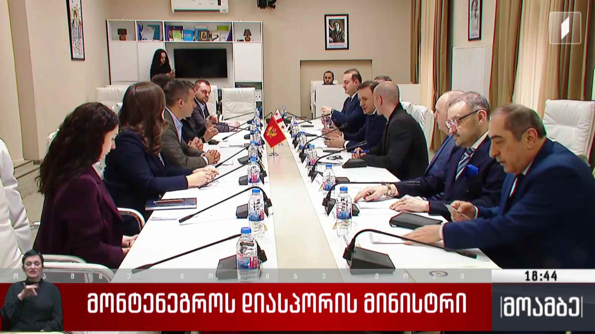 მონტენეგროს დიასპორის მინისტრი 