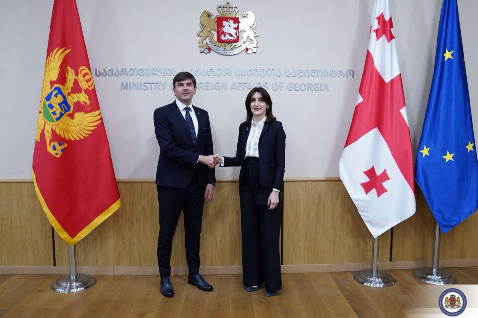 მაკა ბოჭორიშვილი მონტენეგროს დიასპორის მინისტრს შეხვდა
