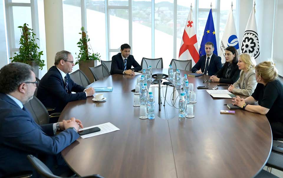 ნათია თურნავა ევროპის რეკონსტრუქციისა და განვითარების ბანკის წევრი ქვეყნების ჯგუფის დირექტორს, ტამაშ ვოჟნიტსს შეხვდა