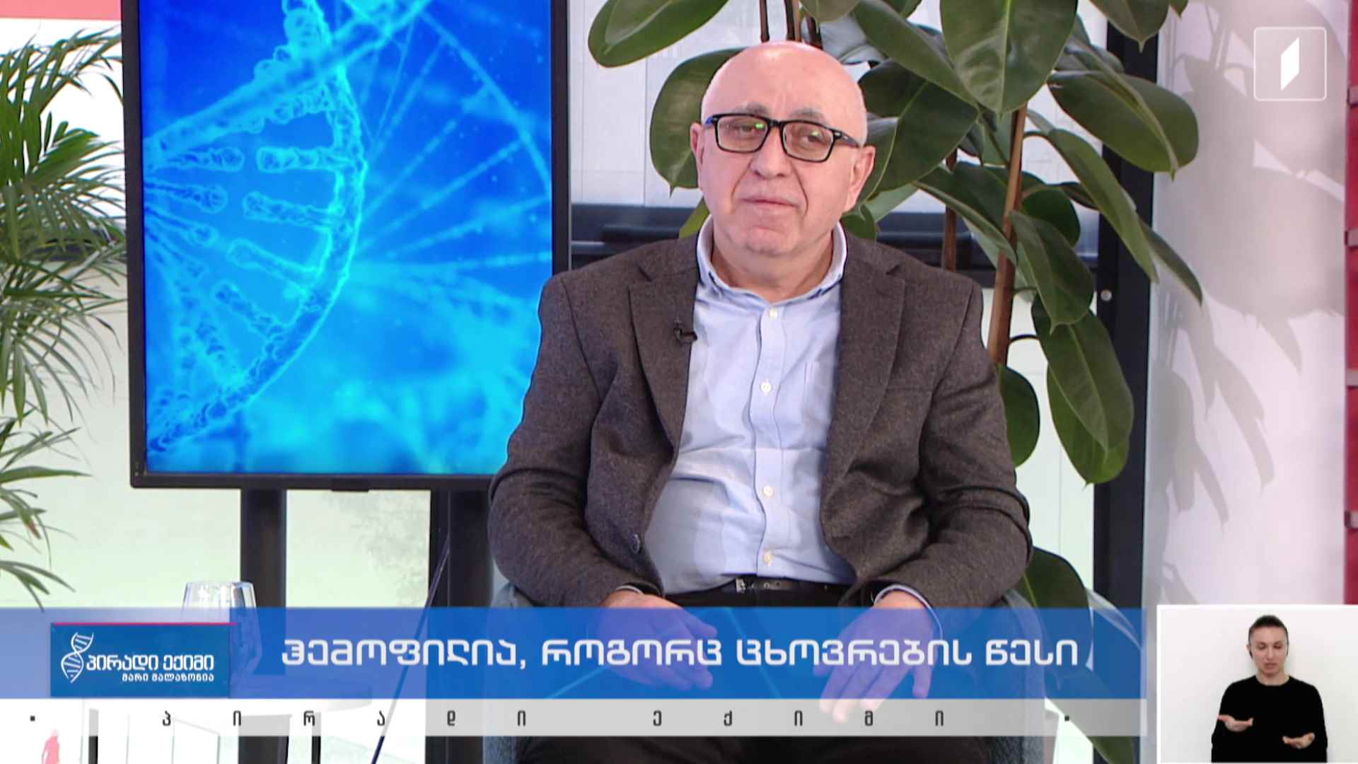 პირადი ექიმი - ჰემოფილია, როგორც ცხოვრების წესი