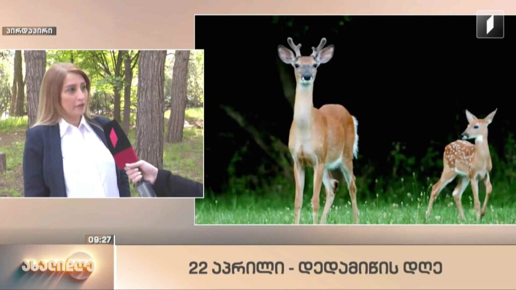 დედამიწის დღე