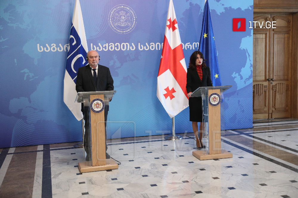 მაკა ბოჭორიშვილი - საქართველოს სურს რეგიონში მშვიდობა და სტაბილურობა, შესაბამისად, კიდევ ერთხელ ხაზს ვუსვამ საქართველოს მთავრობის სამშვიდობო პოლიტიკის სიმტკიცეს