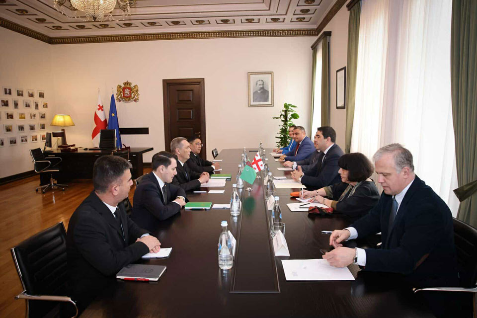 შალვა პაპუაშვილი თურქმენეთის მეჯლისის დელეგაციას შეხვდა