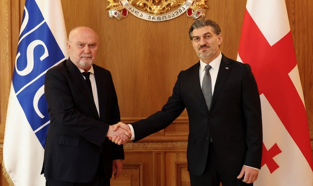 მიხეილ ყაველაშვილი ეუთო-ს გენერალურ მდივანს, ფერიდუნ სინირლიოღლუს შეხვდა