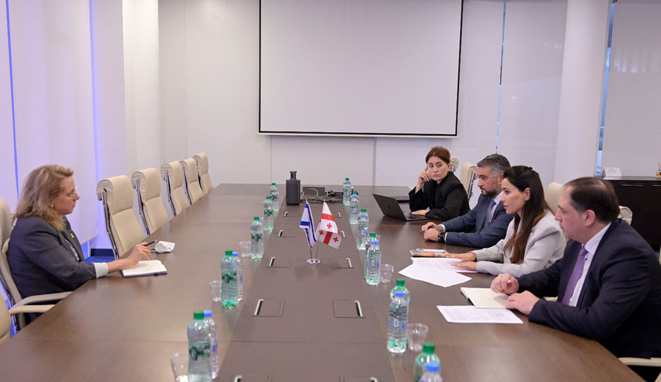 მარიამ ქვრივიშვილი საქართველოში ისრაელის ელჩს, ჰადას მეიცადს შეხვდა