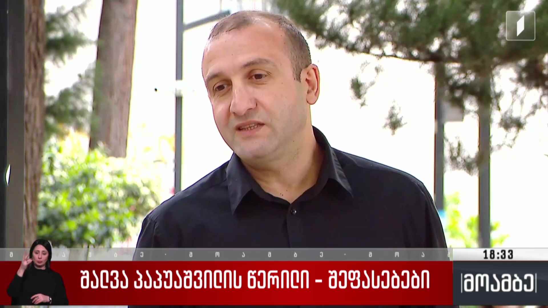შალვა პაპუაშვილის  წერილი - შეფასებები