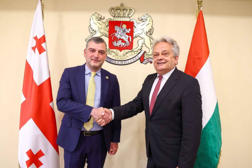 საქართველოს თავდაცვის მინისტრის პირველი მოადგილე უნგრელ კოლეგას შეხვდა