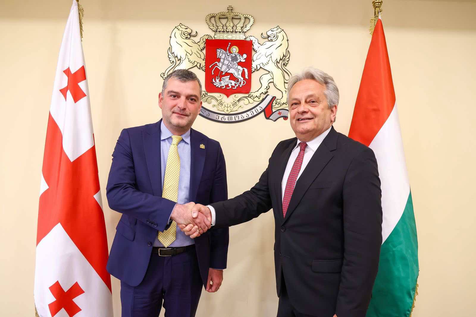 საქართველოს თავდაცვის მინისტრის პირველი მოადგილე უნგრელ კოლეგას შეხვდა