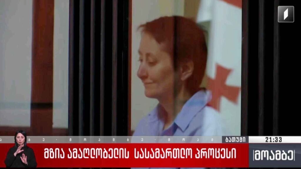 მზია ამაღლობელი მოსამართლემ პატიმრობაში დატოვა