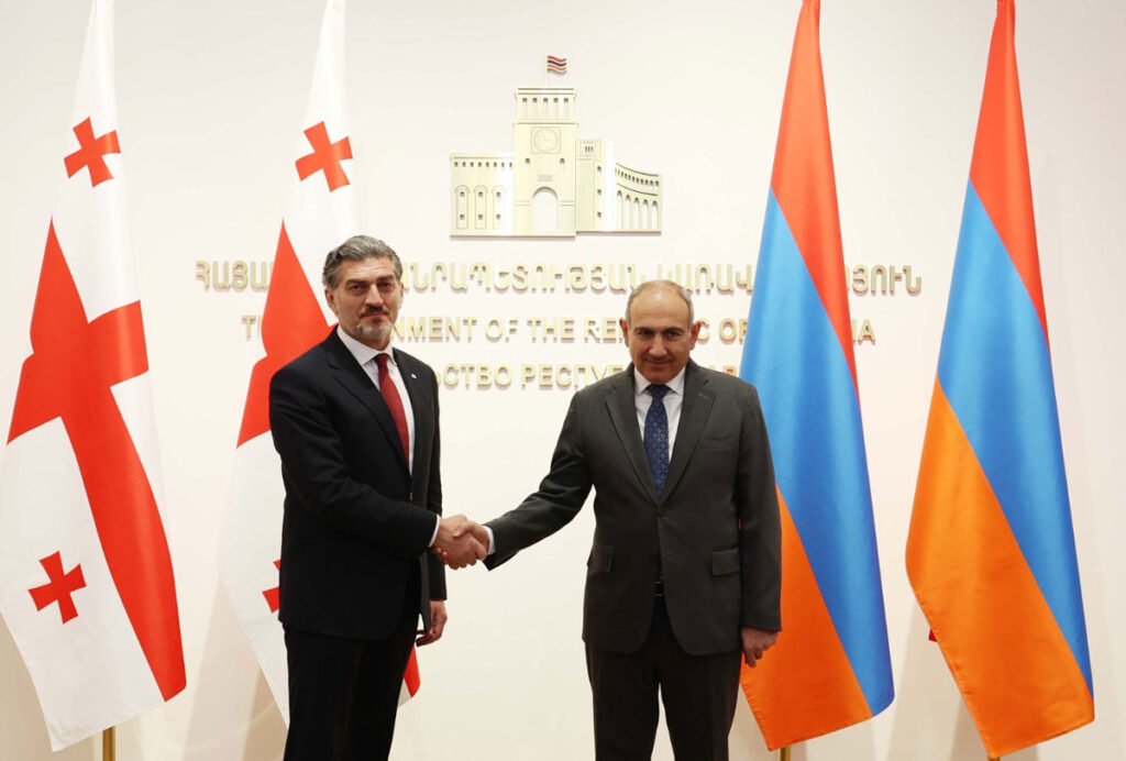 მიხეილ ყაველაშვილი ნიკოლ ფაშინიანს შეხვდა