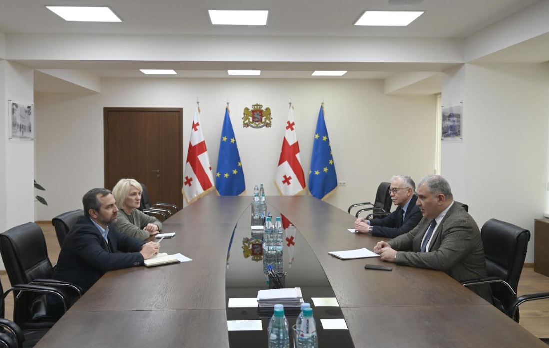 ჯანდაცვის სამინისტროში გლობალურ ფონდთან თანამშრომლობის საკითხებზე შეხვედრა გაიმართა