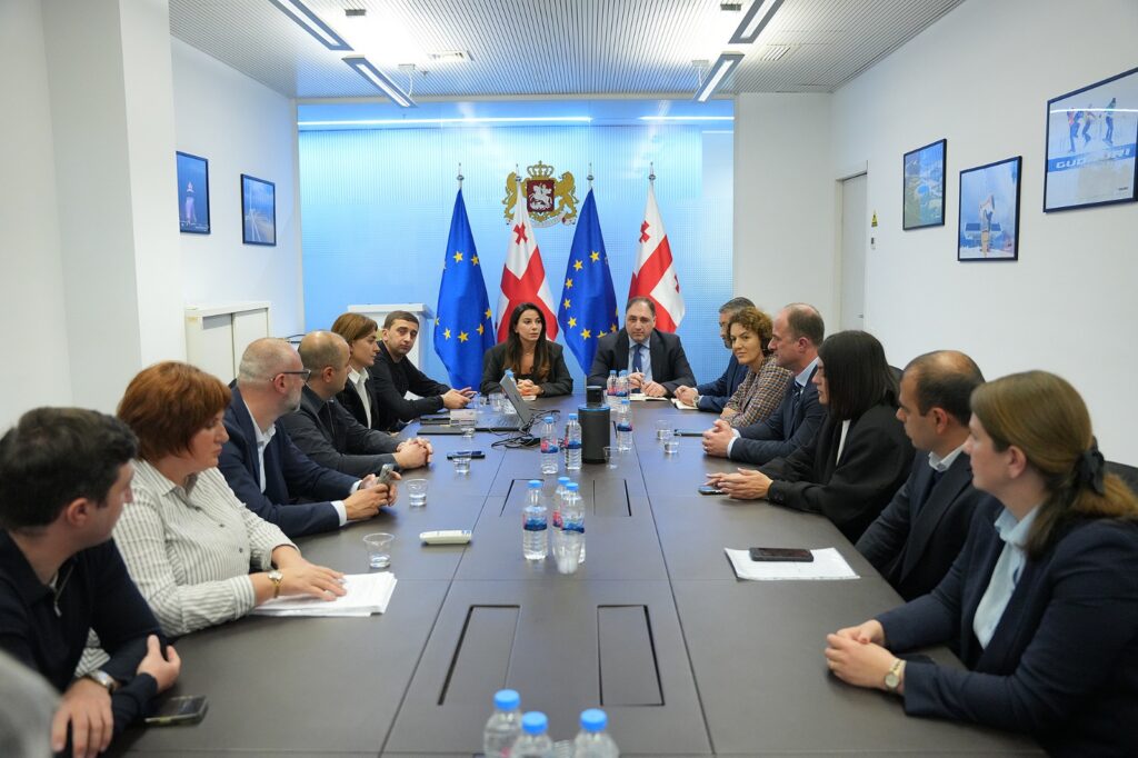 მარიამ ქვრივიშვილი ავიაკომპანიების წარმომადგენლებს შეხვდა