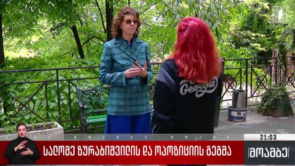 სალომე ზურაბიშვილის და ოპოზიციის გეგმა 