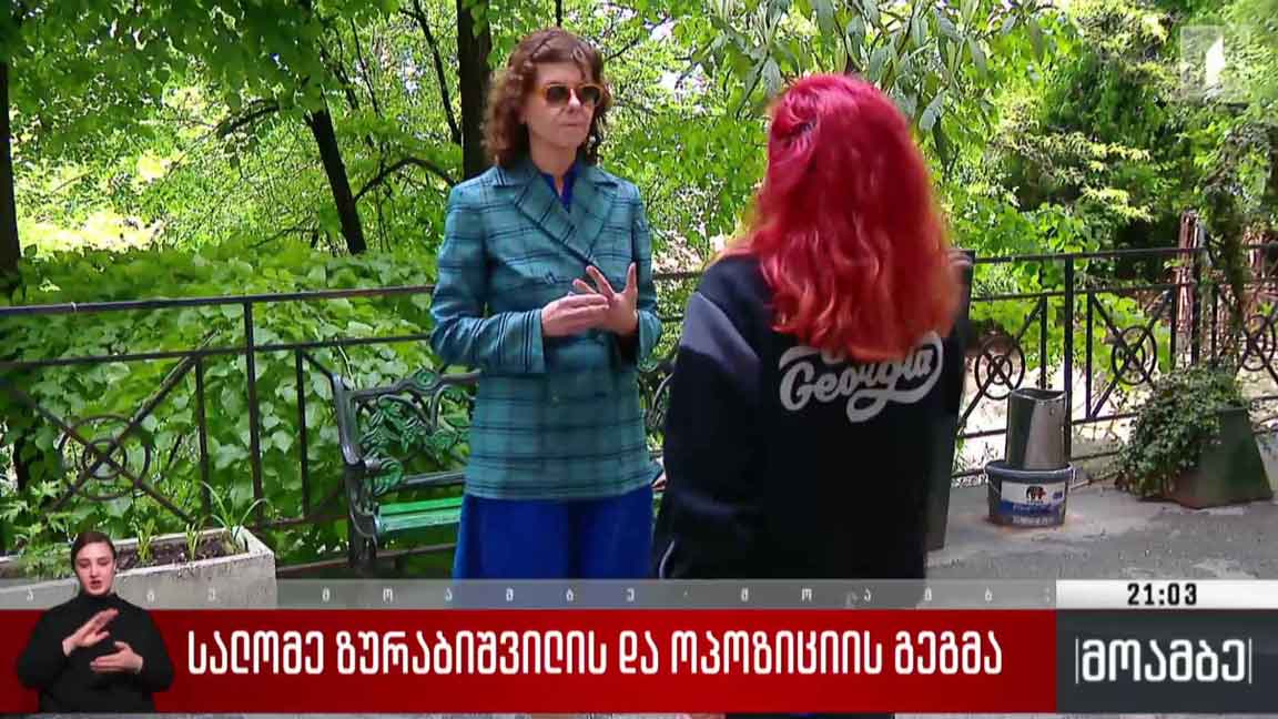 სალომე ზურაბიშვილის და ოპოზიციის გეგმა 