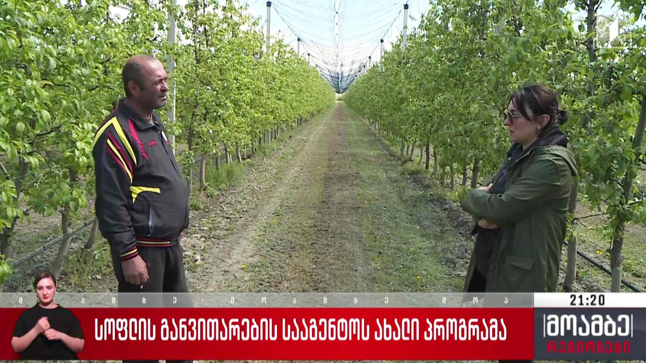 სოფლის განვითარების სააგენტოს ახალი პროგრამა