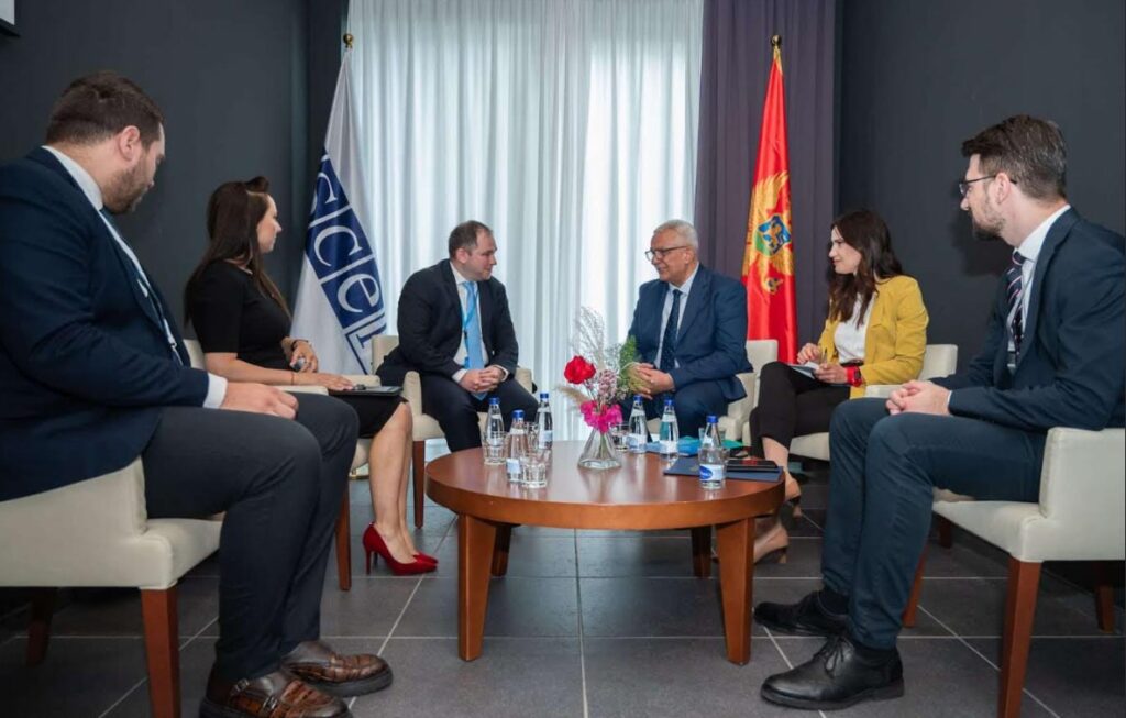 ნიკოლოზ სამხარაძე მონტენეგროს პარლამენტის თავმჯდომარეს შეხვდა