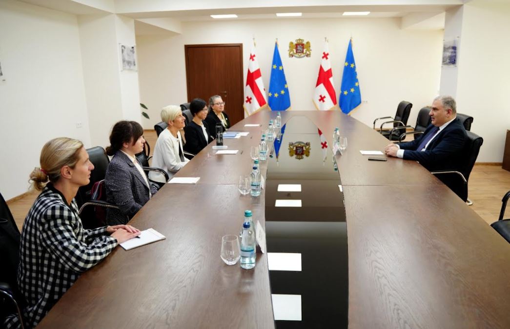 მიხეილ სარჯველაძე The Max Foundation-ის აღმასრულებელ დირექტორს, პატ გარსია-გონსალესს შეხვდა