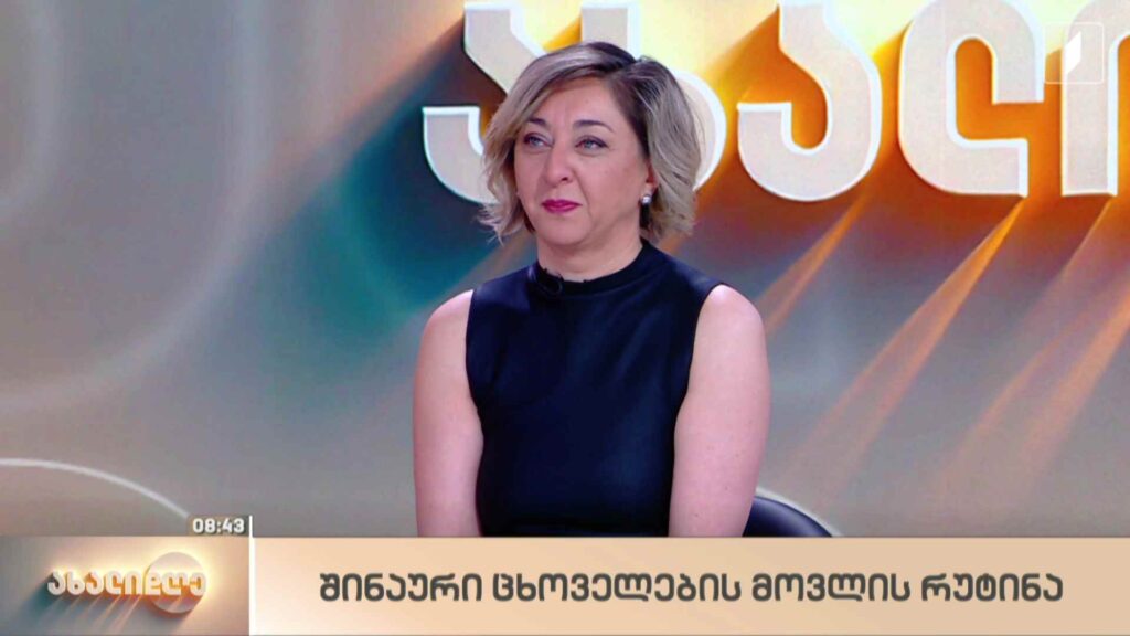 შინაური ცხოველების მოვლის რუტინა გაზაფხულზე