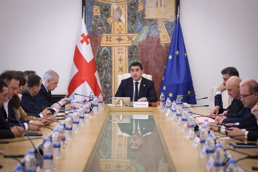 საკანონმდებლო ორგანოში ქალთა და ბავშვთა საკითხებზე მომუშავე პარლამენტის დროებითი კომისია შეიქმნება