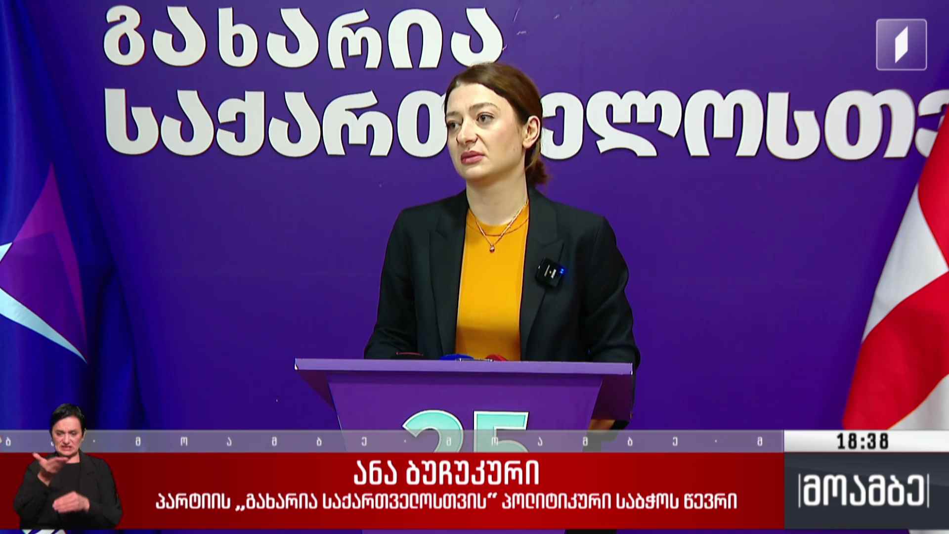 სააკაშვილის ბანერები აქციებზე - შეფასებები