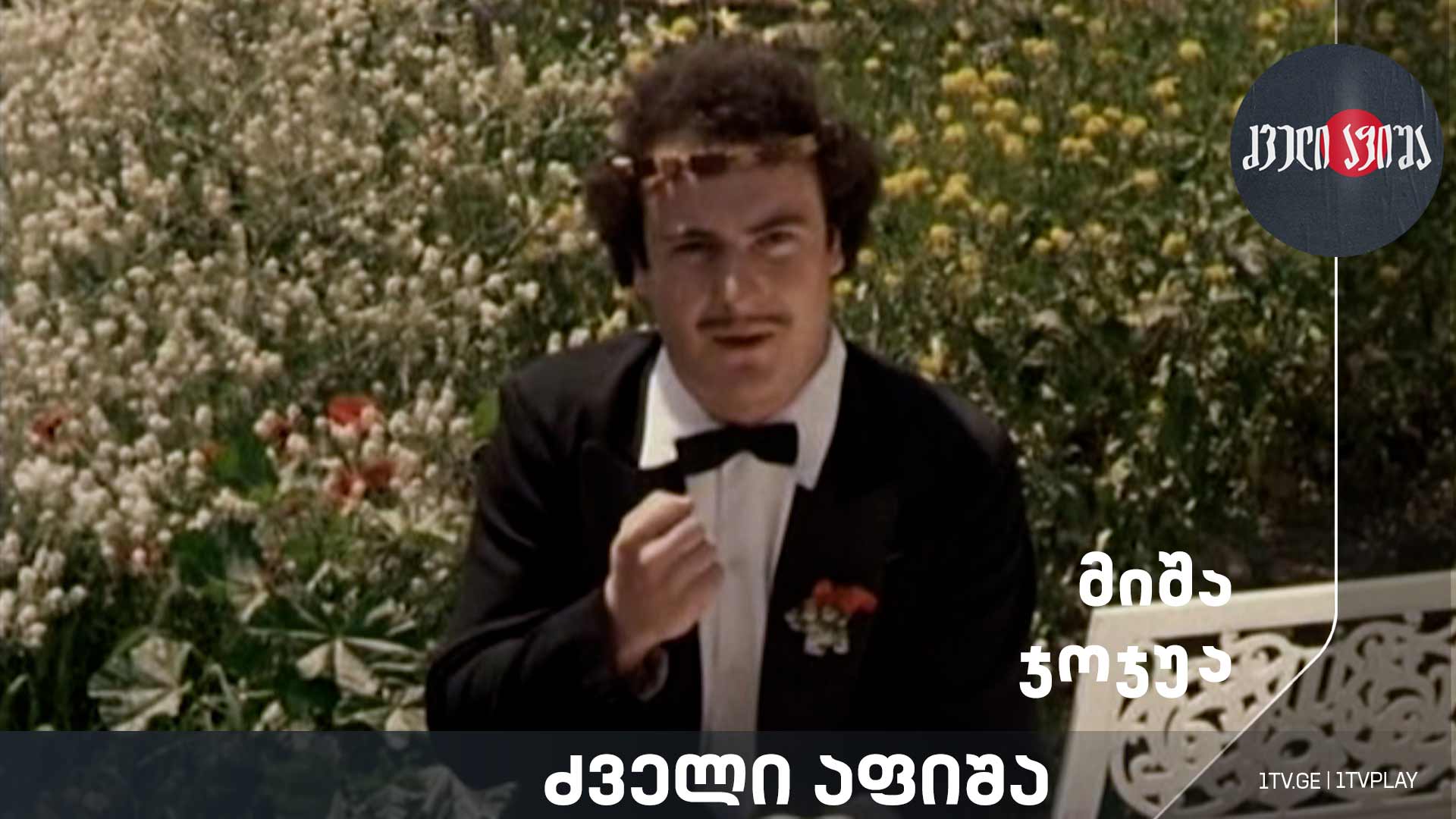 მიშა ჯოჯუა