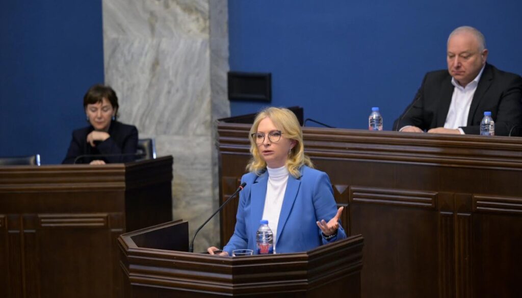 ნათია თურნავა - წელს საერთაშორისო სავალუტო რეზერვების შესყიდვები შარშანდელ წმინდა გაყიდვებს ბევრად აჭარბებს