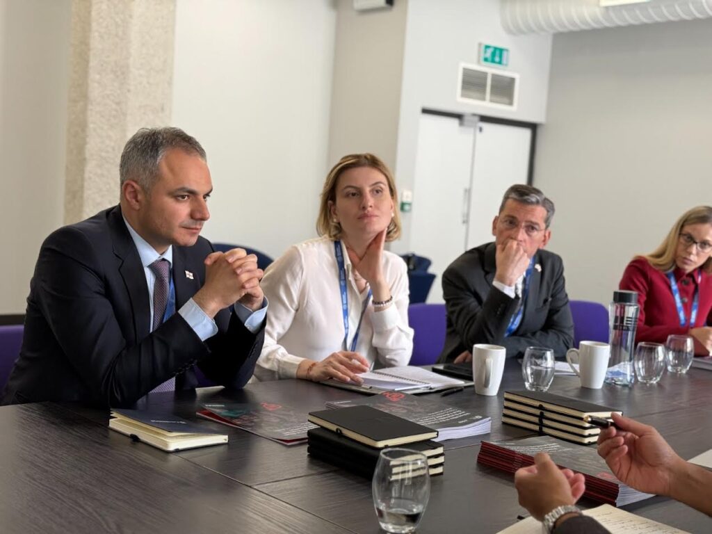 ალექსანდრე წულაძემ Times Higher Education-ის კვლევების მიმართულების დირექტორთან სამომავლო თანამშრომლობის პერსპექტივები განიხილა