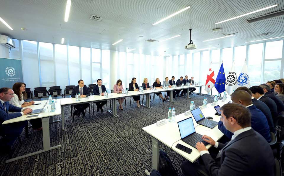 ნათია თურნავა საერთაშორისო სავალუტო ფონდის მისიას შეხვდა