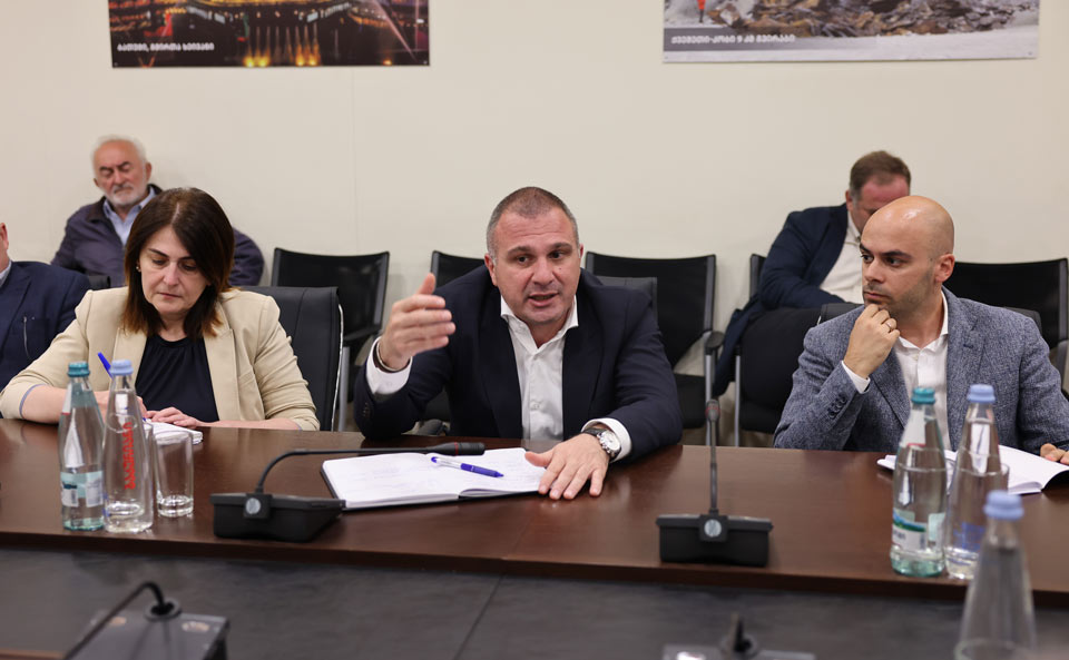 ინფრასტრუქტურის მინისტრი არქიტექტორთა საზოგადოების წარმომადგენლებს შეხვდა