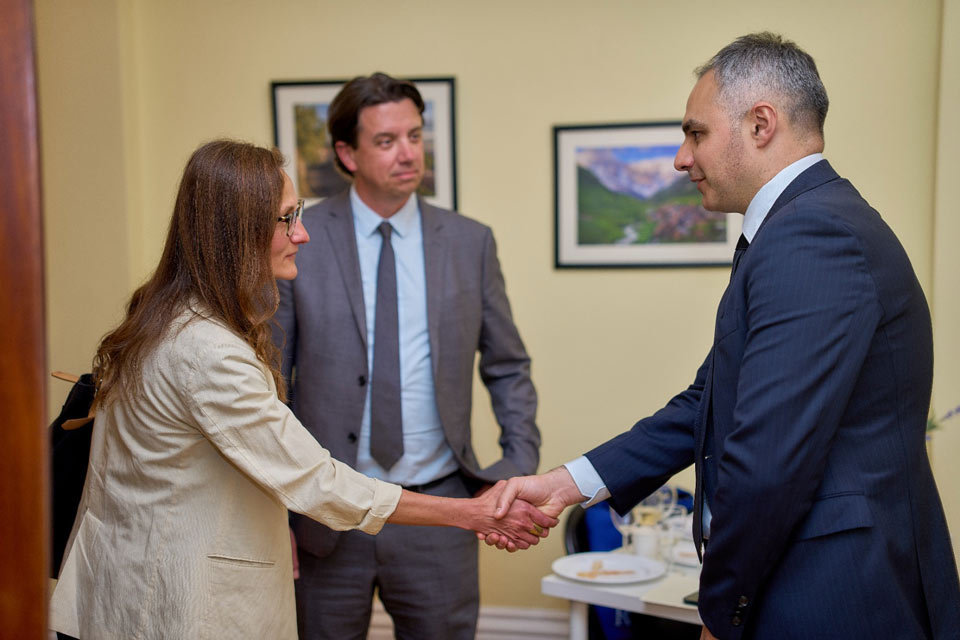 ალექსანდრე წულაძემ ბრიტანულ უნივერსიტეტებსა და საგანმანათლებლო ორგანიზაციების წარმომადგენლებს ტრანსნაციონალური განათლების გზამკვლევი გააცნო