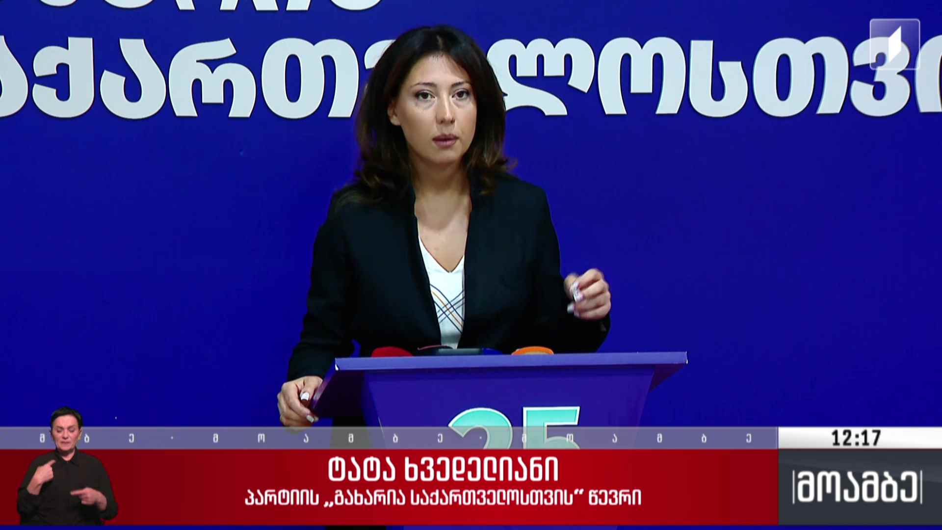 26 მაისი - ოპოზიციის სამოქმედო გეგმა