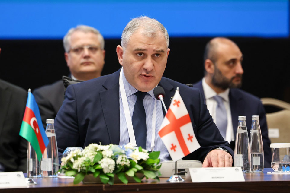 სტამბოლში გამართულ ოჯახის საერთაშორისო ფორუმზე მიხეილ სარჯველაძე სიტყვით გამოვიდა
