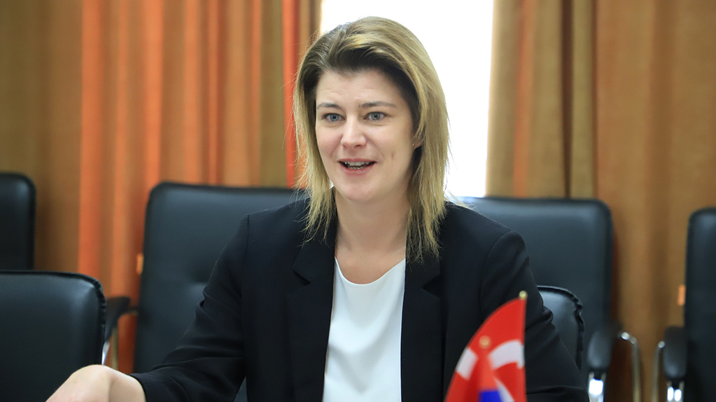 საქართველოში დანიის ელჩი - დანია შეშფოთებას გამოხატავს ზურაბ ჯაფარიძის წინააღმდეგ მიღებული არაპროპორციული ზომების გამო