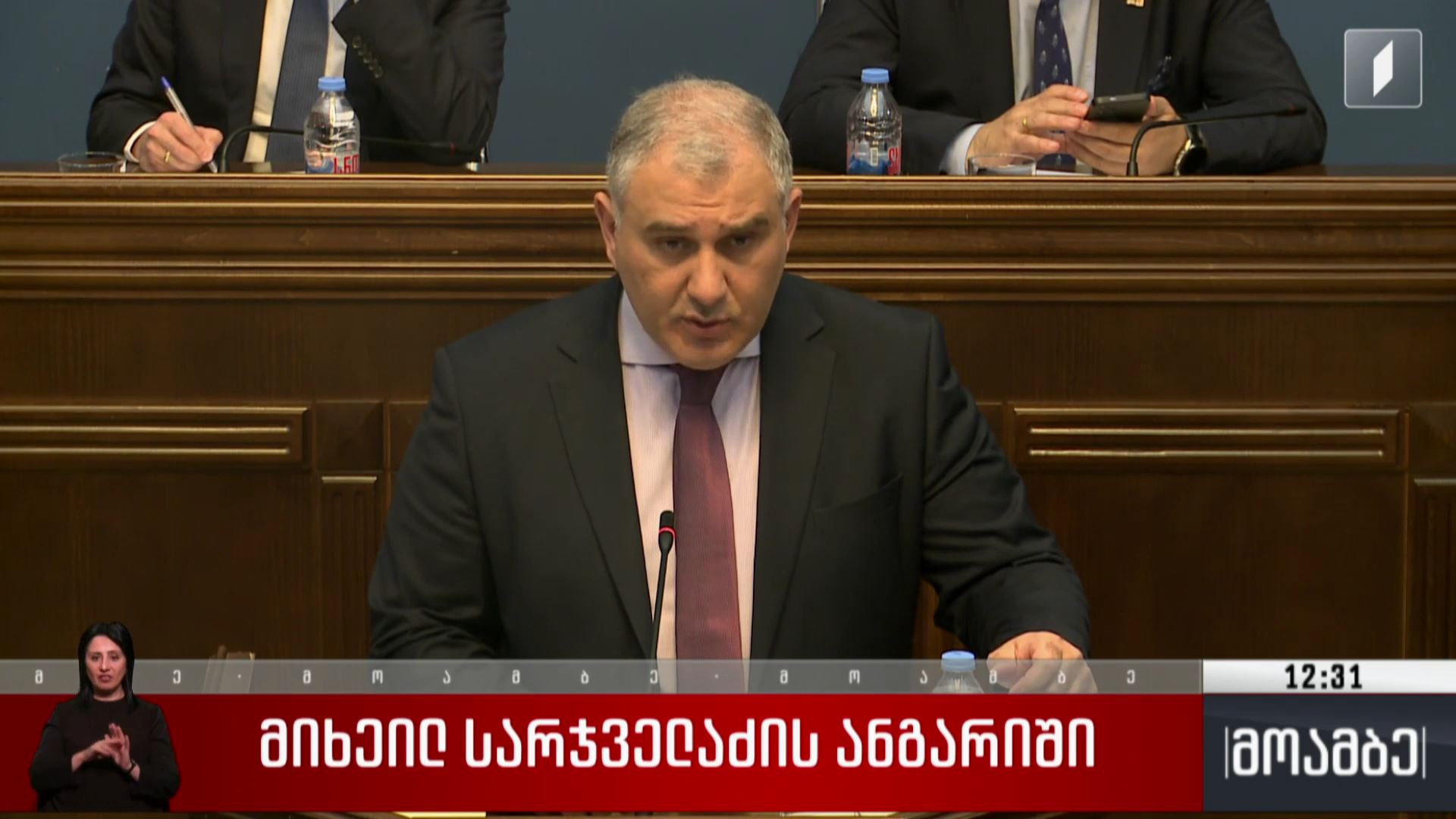 მიხეილ სარჯველაძის ანგარიში