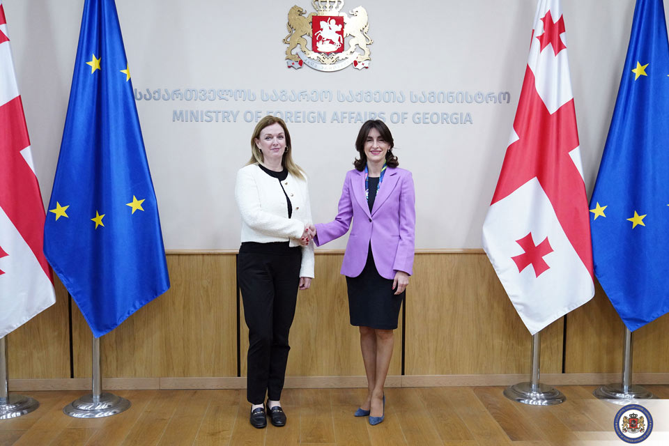 მაკა ბოჭორიშვილი გაერო-ს განვითარების პროგრამის ევროპისა და დსთ-ის ქვეყნების რეგიონული ბიუროს დირექტორს შეხვდა
