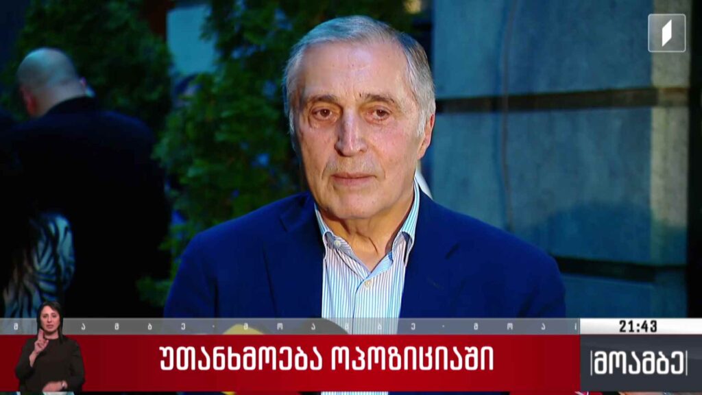 უთანხმოება ოპოზიციაში