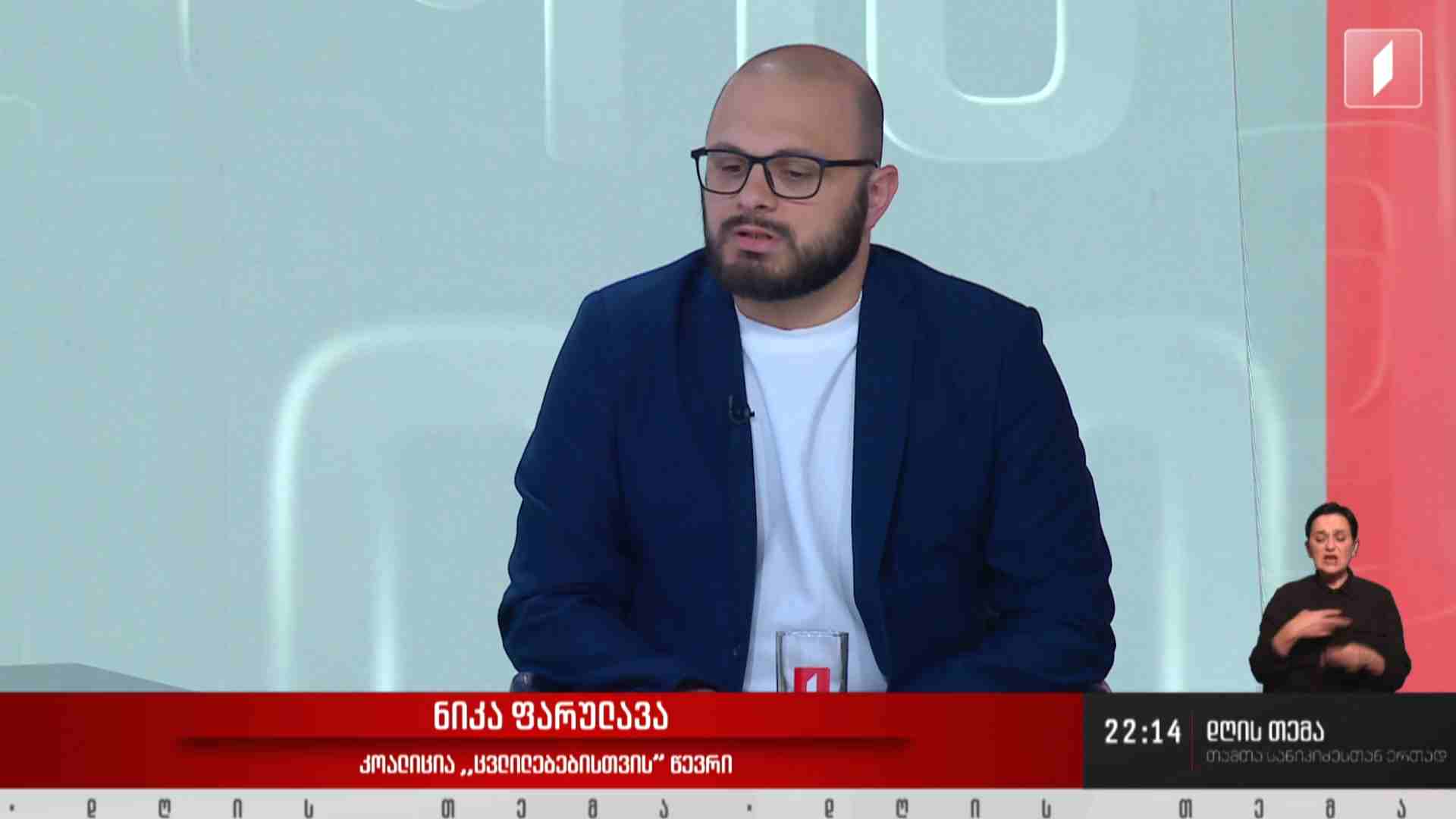 ინტერვიუ ნიკა ფარულავასთან #დღისთემა