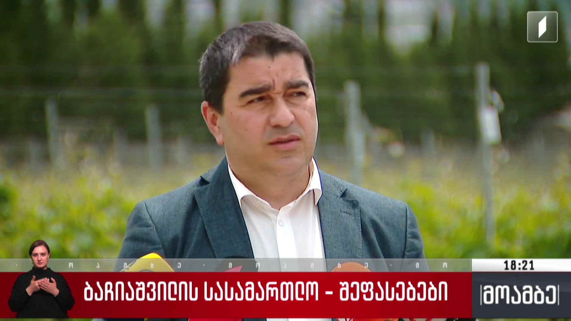 ბაჩიაშვილის სასამართლო - შეფასებები